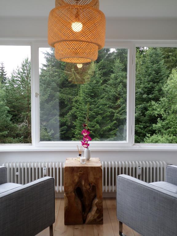 Ferienwohnung Boerner Kniebis Extérieur photo
